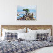 Lone Cypress, Monterey, California Canvas Print (Insitu (Slaapkamer))