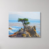 Lone Cypress, Monterey, California Canvas Print (Voorkant)