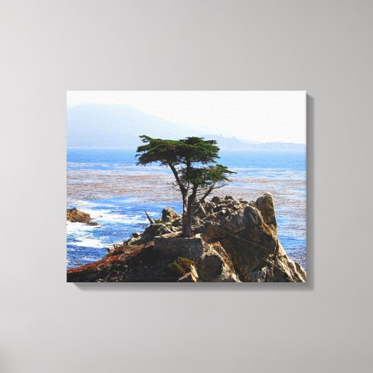Lone Cypress, Monterey, Californië Canvas Afdruk (Voorkant)