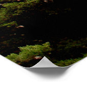 LONE CYPRESS Print, Value Poster Paper (Matte) (Hoek)