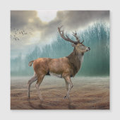 Lone Deer in Misty Forest (Voorkant)