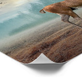 Lone Deer in Misty Forest Poster (Hoek)