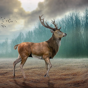 Lone Deer in Misty Forest Sleutelhanger