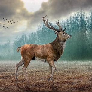 Lone Deer in Misty Forest Sleutelhanger
