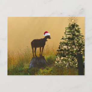 Lone Goat Bewondert bij Kerstboom Feestdagenkaart
