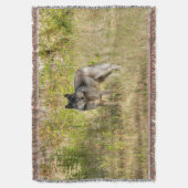 Lone Grey Wolf in de wildernis Deken (Voorkant Verticaal)