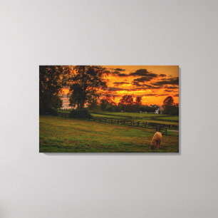 Lone Horse bij zonsondergang Canvas Afdruk