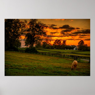 Lone Horse bij zonsondergang Poster