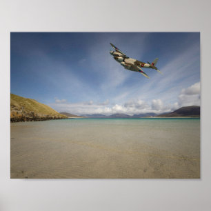 Lone Mosquito" Poster