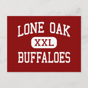 Lone Oak - Buffaloes - High-Lone Oak Texas Briefkaart
