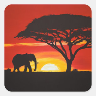Lone Olifant in Afrikaanse zonsondergang Vierkante Sticker