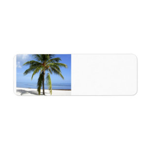 Lone Palm Etiket