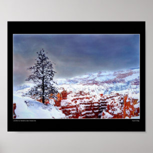 Lone Pine in een beschilderde lucht - Fine Art Pos Poster