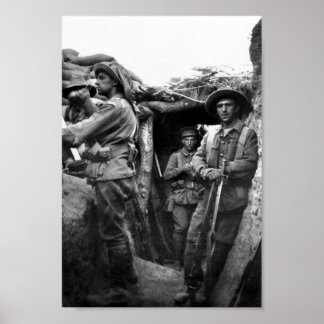 Lone Pine Trenches, Gallipoli Poster