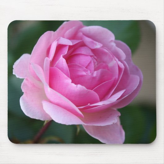 Lone Pink Rose Mousepad Muismat (Voorkant)
