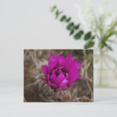 Lone Purple Cactus Flower Nouveau-Mexique Carte de (Debout devant)