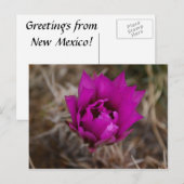 Lone Purple Cactus Flower Nouveau-Mexique Carte de (Devant / Derrière)