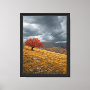Lone Red Tree op Autumn Hills Canvas Afdruk