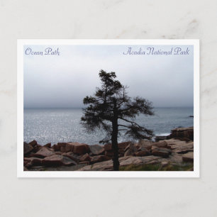 Lone Sentinel op Ocean Path Briefkaart