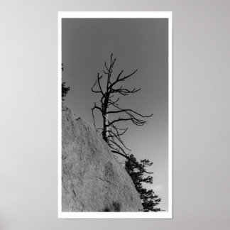 Lone Sky Tree, digitale foto van Mark Easton Poster