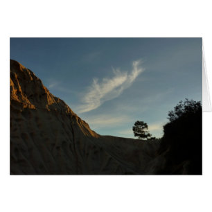 Lone Torrey Pine California Sunset Landschap