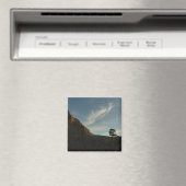 Lone Torrey Pine California Sunset Landschap Magneet (Insitu (Vaatwasser))