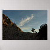 Lone Torrey Pine California Sunset Landschap Poster (Voorkant)