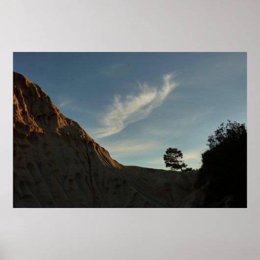 Lone Torrey Pine California Sunset Landschap Poster (Voorkant)