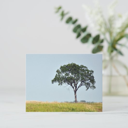 Lone Tree Briefkaart (Staand voorkant)
