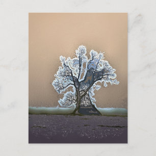 LONE TREE BRIEFKAART