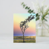 LONE TREE BRIEFKAART (Staand voorkant)