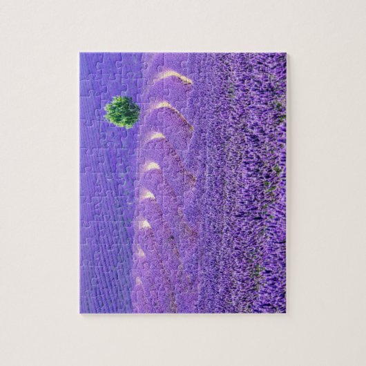 Lone tree in Lavender Field, Frankrijk Legpuzzel (Verticaal)