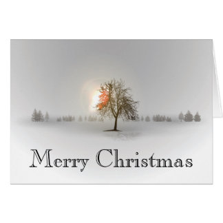 Lone Tree-kerstKaart