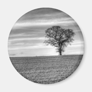 Lone Tree magneet