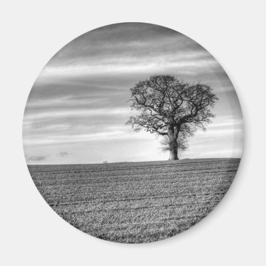 Lone Tree magneet (Voorkant)