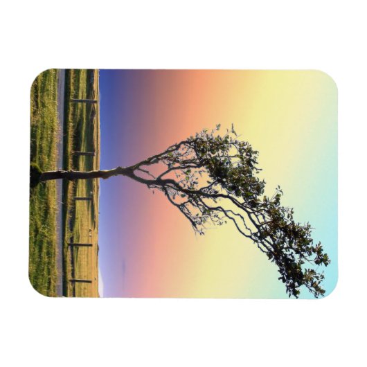 LONE TREE MAGNEET (Horizontaal)