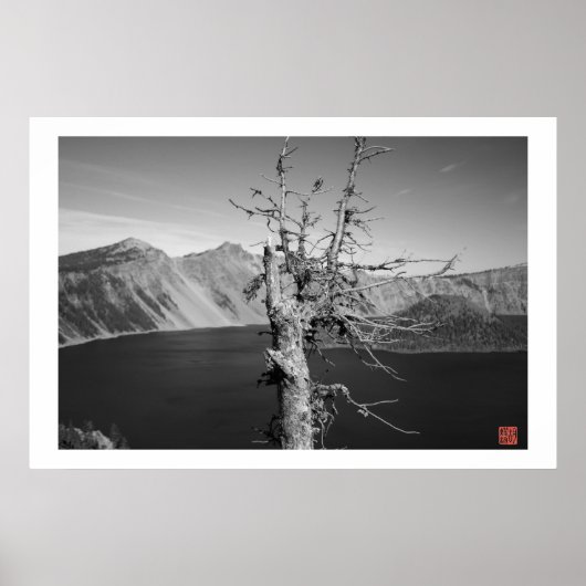 Lone Tree Poster (Voorkant)