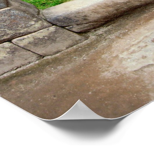 LONE TREE VAN MACHU PICHU POSTER (Hoek)