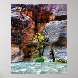Lone Tree Zion National Park Virgin Poster