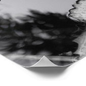 Lone Water Lily Poster (Hoek)
