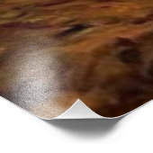 Lone wolf foto afdruk (Hoek)