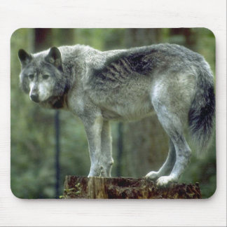 Lone Wolf Mousepad Muismat