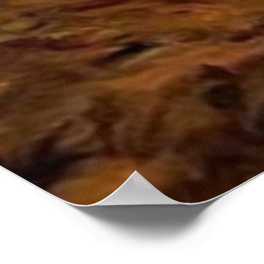 Lone wolf poster (Hoek)