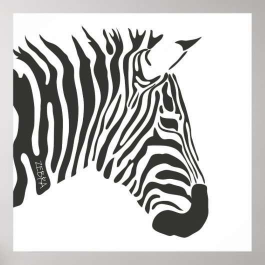 Lone Zebra Poster (Voorkant)