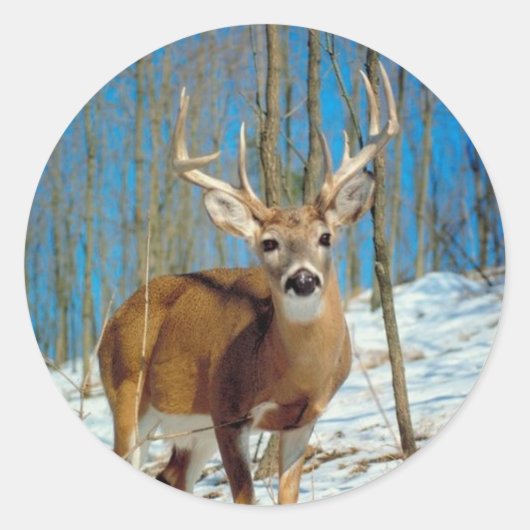 Loneley Reindeer Ronde Sticker (Voorkant)