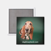 Lonely Basset Magnet Magneet (Voorkant / Achterkant)