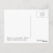 Lonely Birds Nest Briefkaart (Achterkant)