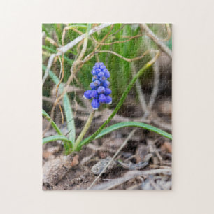 Lonely Graphe Hyacinth Jigsaw Puzzle