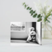 Lonely Hippo Briefkaart (Staand voorkant)