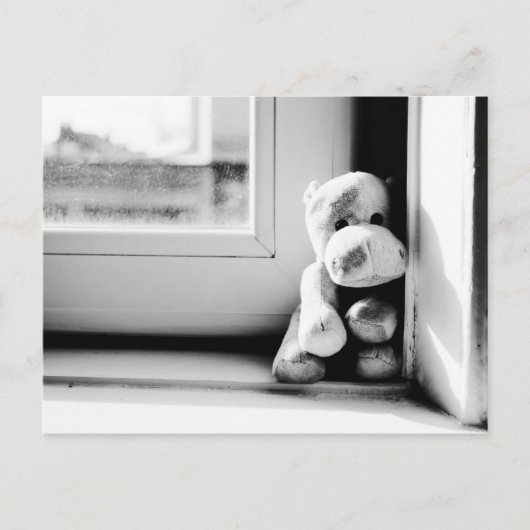 Lonely Hippo Briefkaart (Voorkant)